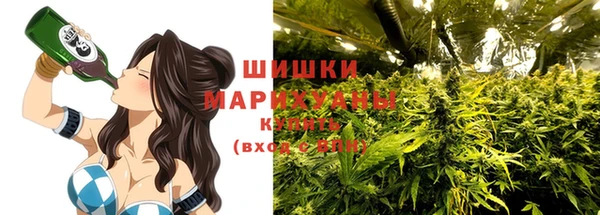 твердый Алапаевск