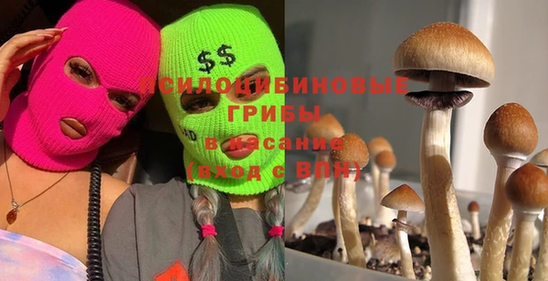 ALPHA-PVP Магас