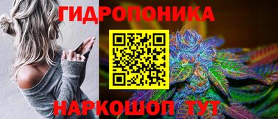 бошки Гусев