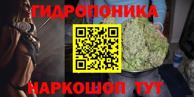 бошки Гусев