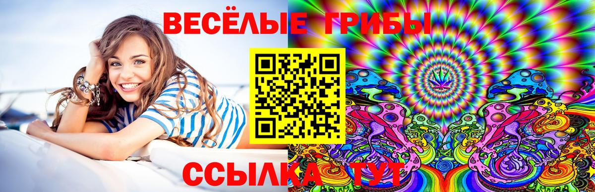 Галлюциногенные грибы MAGIC MUSHROOMS  Вход с VPN  Омск 