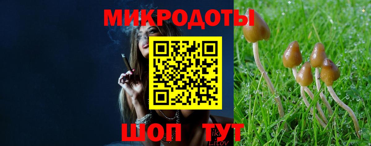 Псилоцибиновые грибы GOLDEN TEACHER Омск